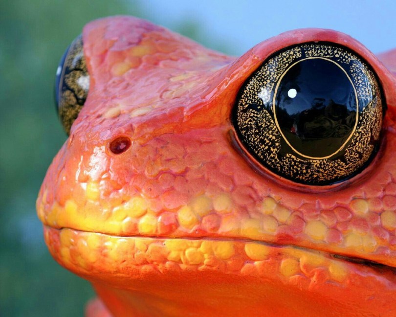 Eyes are amazing organs. 