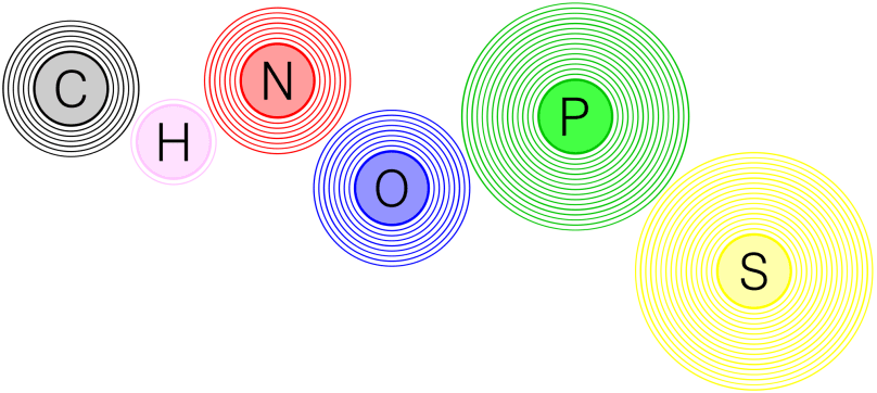 CHNOPS.svg