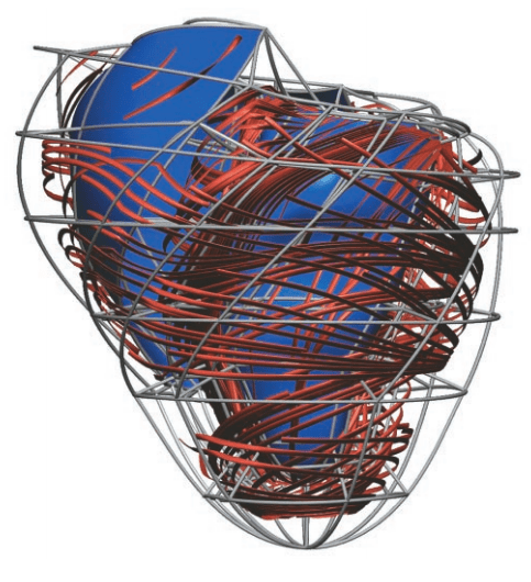 "Computer models of the heart incorporate detailed experimental information, both at the level of individual cells and at the level of anatomy. Here, a model developed by Peter Hunter’s team at the University of Auckland portrays the changing orientation of the heart’s muscle fibers from the outside to the inside of the heart wall. The spiraling of the fibers is believed to affect the flow of electric signals through the heart. Courtesy of Peter Hunter, PhD, Bioengineering Institute, The University of Auckland, New Zealand."--Via. 